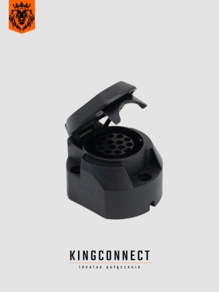 12V 13-pin socket